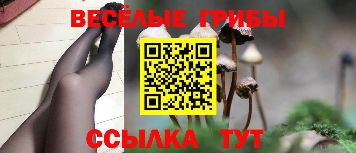 Псилоцибиновые грибы прущие грибы Аксай